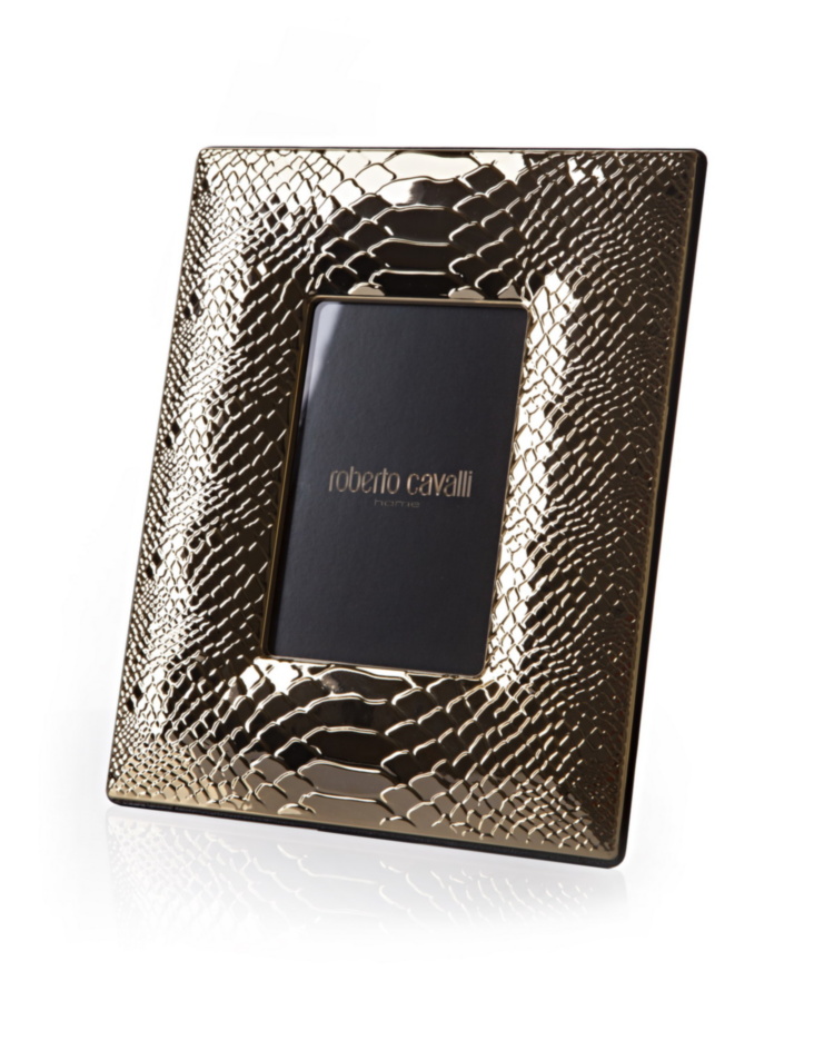 PYTHON GOLD Large Picture Frame