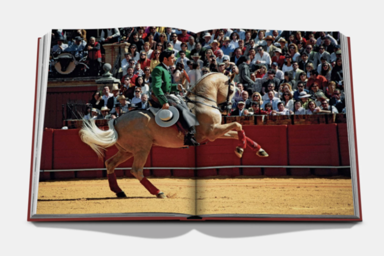 SEVILLA ARTE ASSOULINE