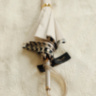 Ivory Umbrella With Black Stripes Pasotti
