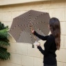 Ivory Umbrella With Black Stripes Pasotti
