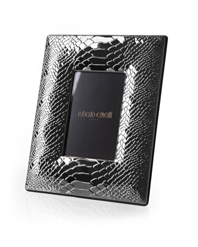 PYTHON Silver Large Picture Frame