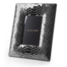 PYTHON Silver Large Picture Frame