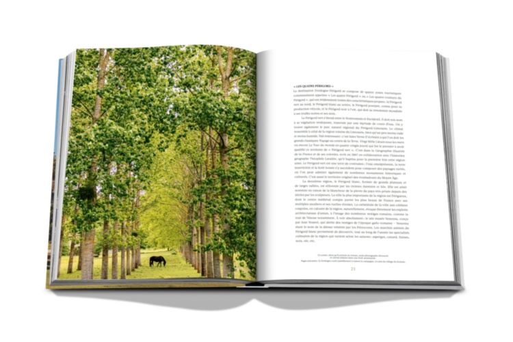 Chateau Monestier La Tour (French) ASSOULINE
