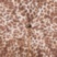 Leopard Print Umbrella With Ruched Leather Handle Pasotti