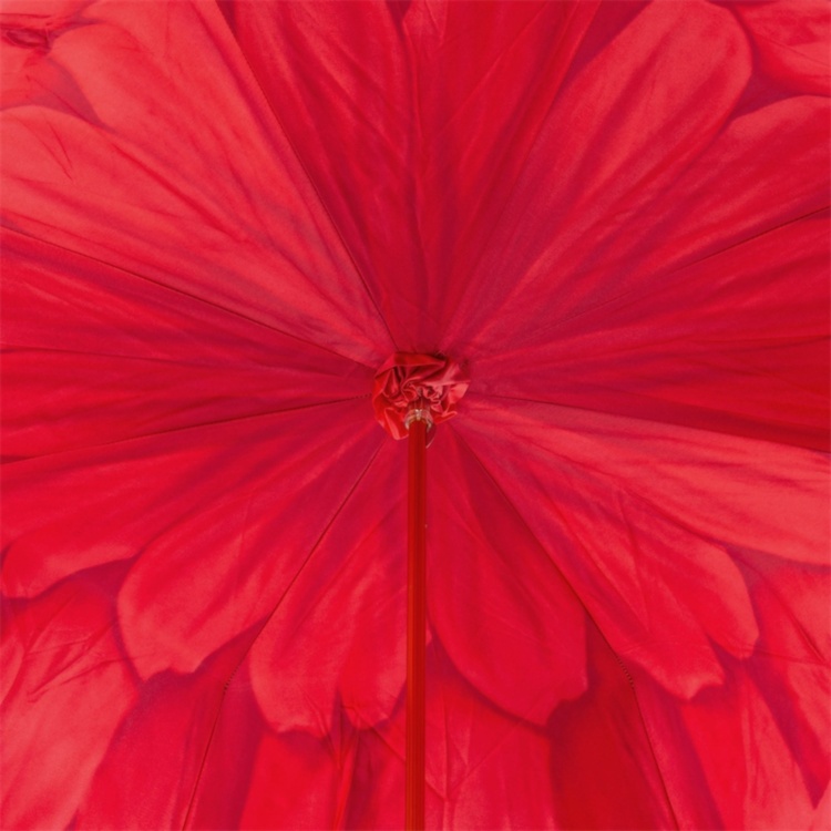 Red Dahlia Umbrella Double Cloth Pasotti