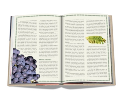 The 100 Burgundy: Exceptional Wines to Build a Dream Cellar ASSOULINE