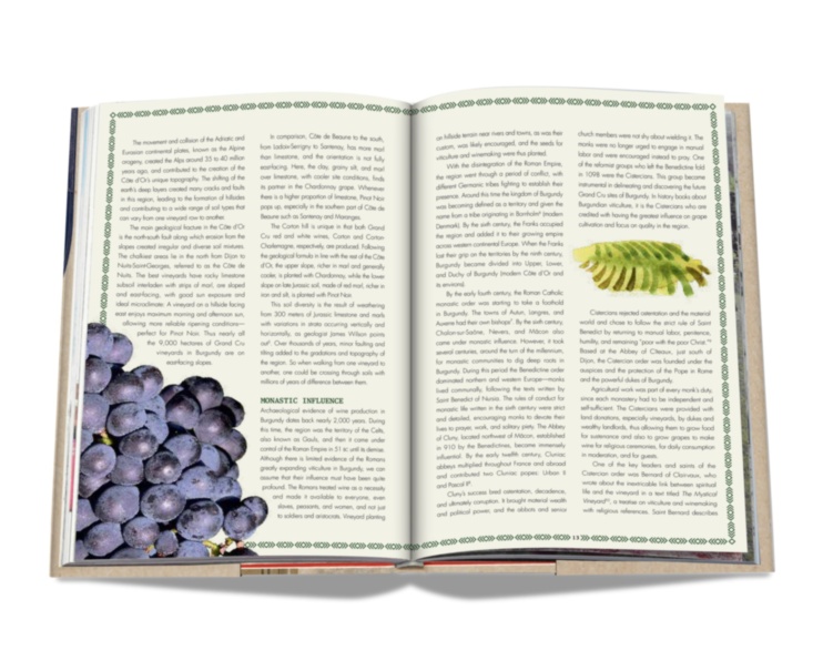The 100 Burgundy: Exceptional Wines to Build a Dream Cellar ASSOULINE