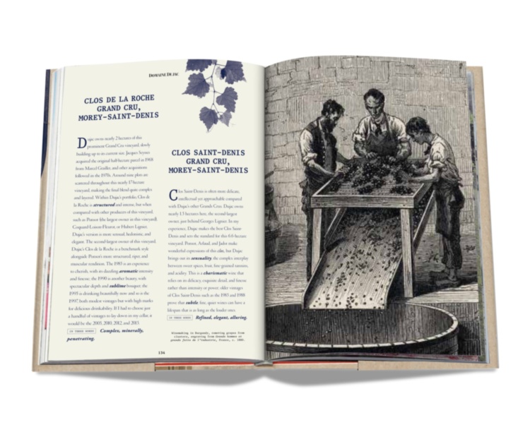 The 100 Burgundy: Exceptional Wines to Build a Dream Cellar ASSOULINE