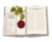 The 100 Burgundy: Exceptional Wines to Build a Dream Cellar ASSOULINE