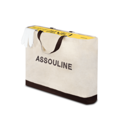 The Impossible Collection of Design ASSOULINE