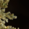 Ялинка штучна PINO ARGENTATO C/480LED H.180 D.135 IP44 C4