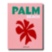 Palm Beach ASSOULINE