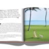 Palm Beach ASSOULINE