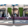 Palm Beach ASSOULINE