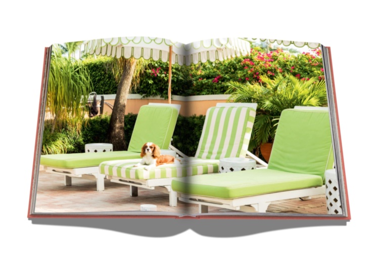 Palm Beach ASSOULINE