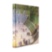 Versailles: From Louis XIV to Jeff Koons (Special Edition) ASSOULINE