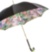 Parrot Umbrella Pasotti