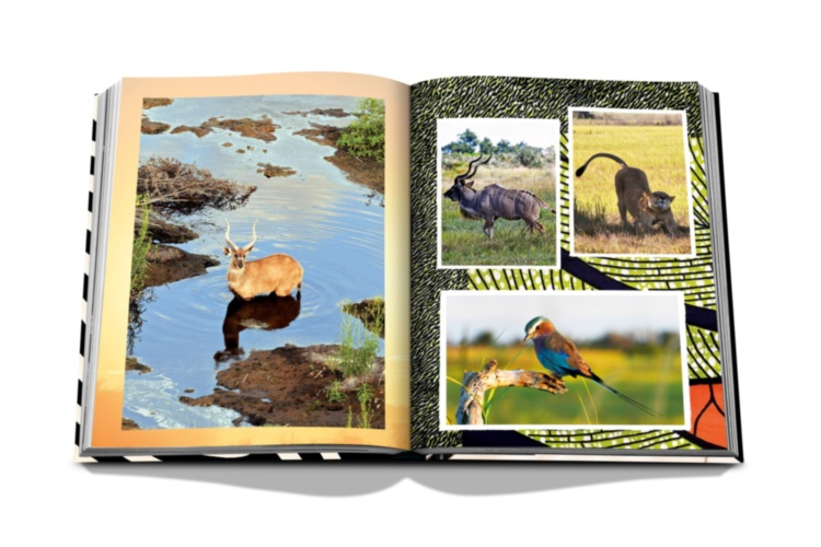 African Adventures: The Greatest Safari on Earth ASSOULINE