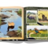 African Adventures: The Greatest Safari on Earth ASSOULINE
