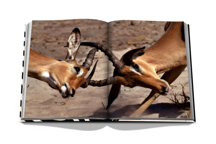 African Adventures: The Greatest Safari on Earth ASSOULINE