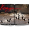 African Adventures: The Greatest Safari on Earth ASSOULINE