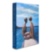 The French Riviera in the 1920s ASSOULINE