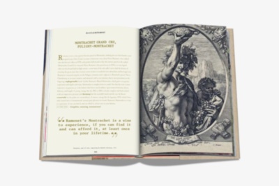 The 100 Burgundy: Exceptional Wines to Build a Dream Cellar ASSOULINE