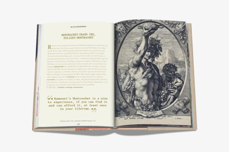 The 100 Burgundy: Exceptional Wines to Build a Dream Cellar ASSOULINE