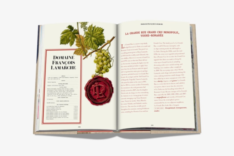 The 100 Burgundy: Exceptional Wines to Build a Dream Cellar ASSOULINE