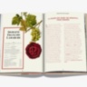 The 100 Burgundy: Exceptional Wines to Build a Dream Cellar ASSOULINE