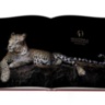 Cartier Panthere ASSOULINE