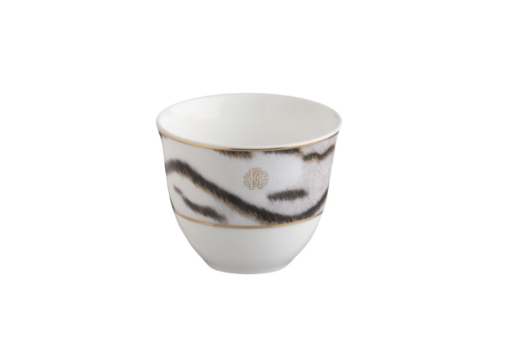 TIGER Arabic Cup