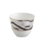TIGER Arabic Cup