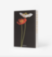 The Classics Collection   Flowers: Art & Bouquets Assouline