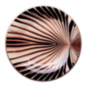 TIGRESS Bread Plate