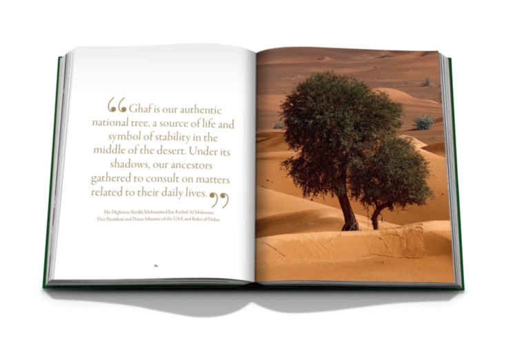 Expo 2020 Dubai: Terra-The Sustainability Pavilion ASSOULINE