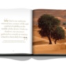 Expo 2020 Dubai: Terra-The Sustainability Pavilion ASSOULINE