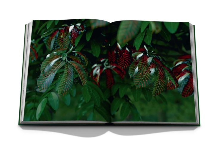 Expo 2020 Dubai: Terra-The Sustainability Pavilion ASSOULINE