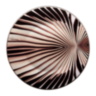TIGRESS Charger Plate