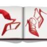 Valentino Rosso ASSOULINE