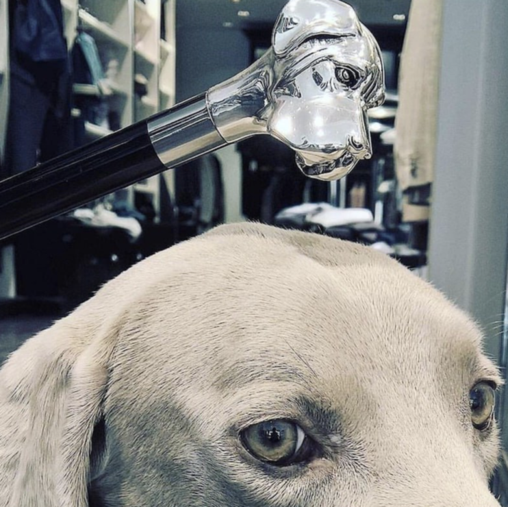 Silver Labrador Shoehorn