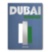 Dubai Wonder ASSOULINE