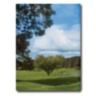 Farnham Estate: Inside The Historic Irish Estate ASSOULINE