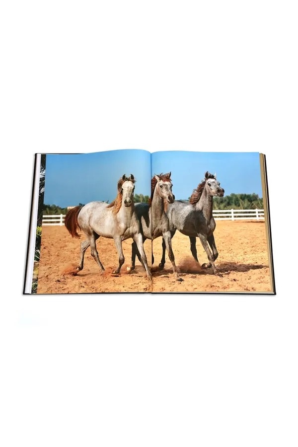 Arabian Horses - The World of Animal Arabian Stud ASSOULINE