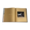 Arabian Horses - The World of Animal Arabian Stud ASSOULINE