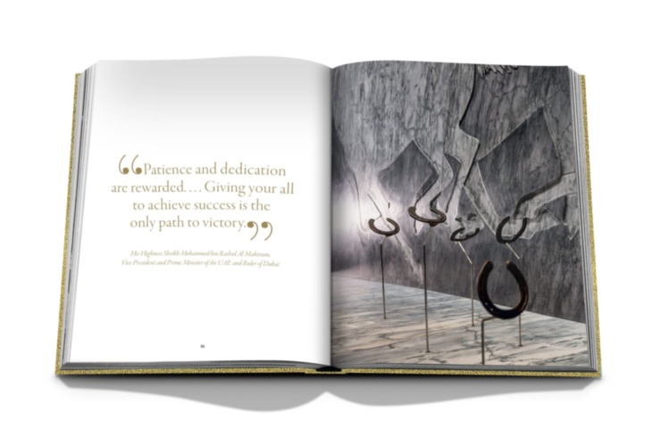 Expo 2020 Dubai: The Vision Pavilion ASSOULINE