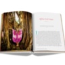 Gypset Trilogy ASSOULINE