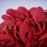 Кресло Lobster Chair  