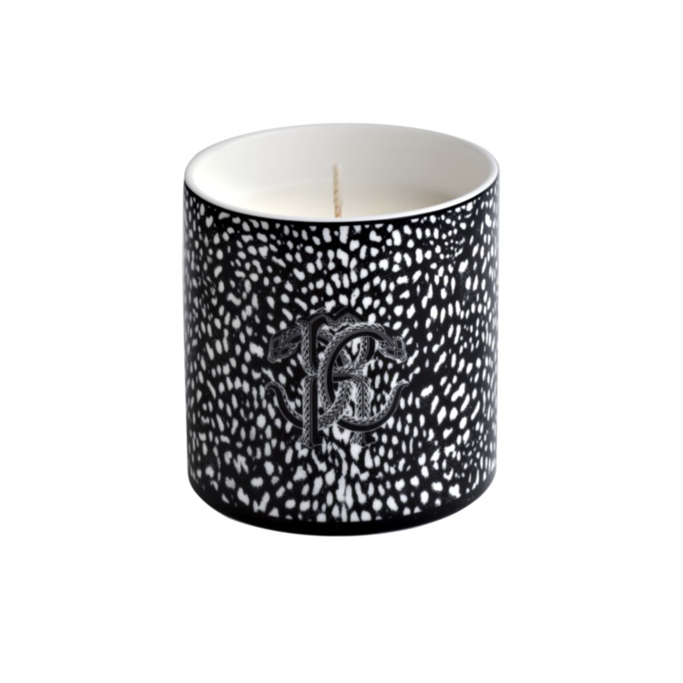 CANDLES Black Moray