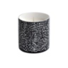 CANDLES Black Moray